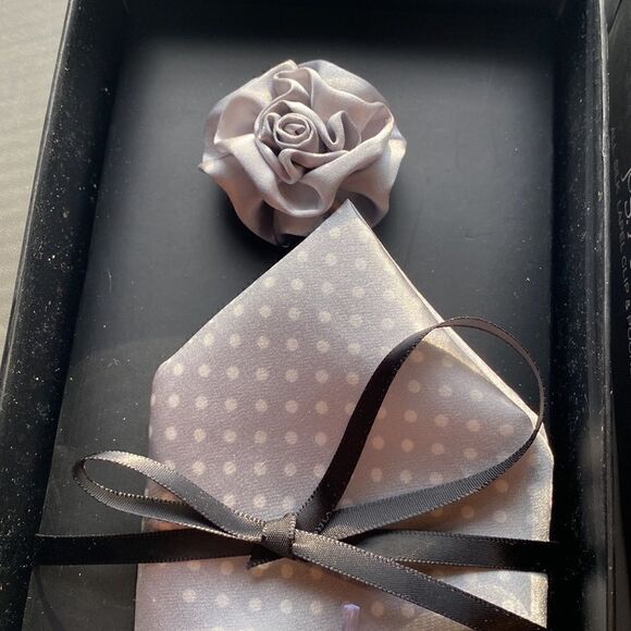 JoS A Bank grey white silk lapel pin and polka dot pocket square ne… - Picture 1 of 10